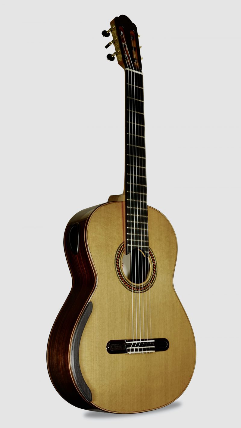 Gitara Arrius S 1000