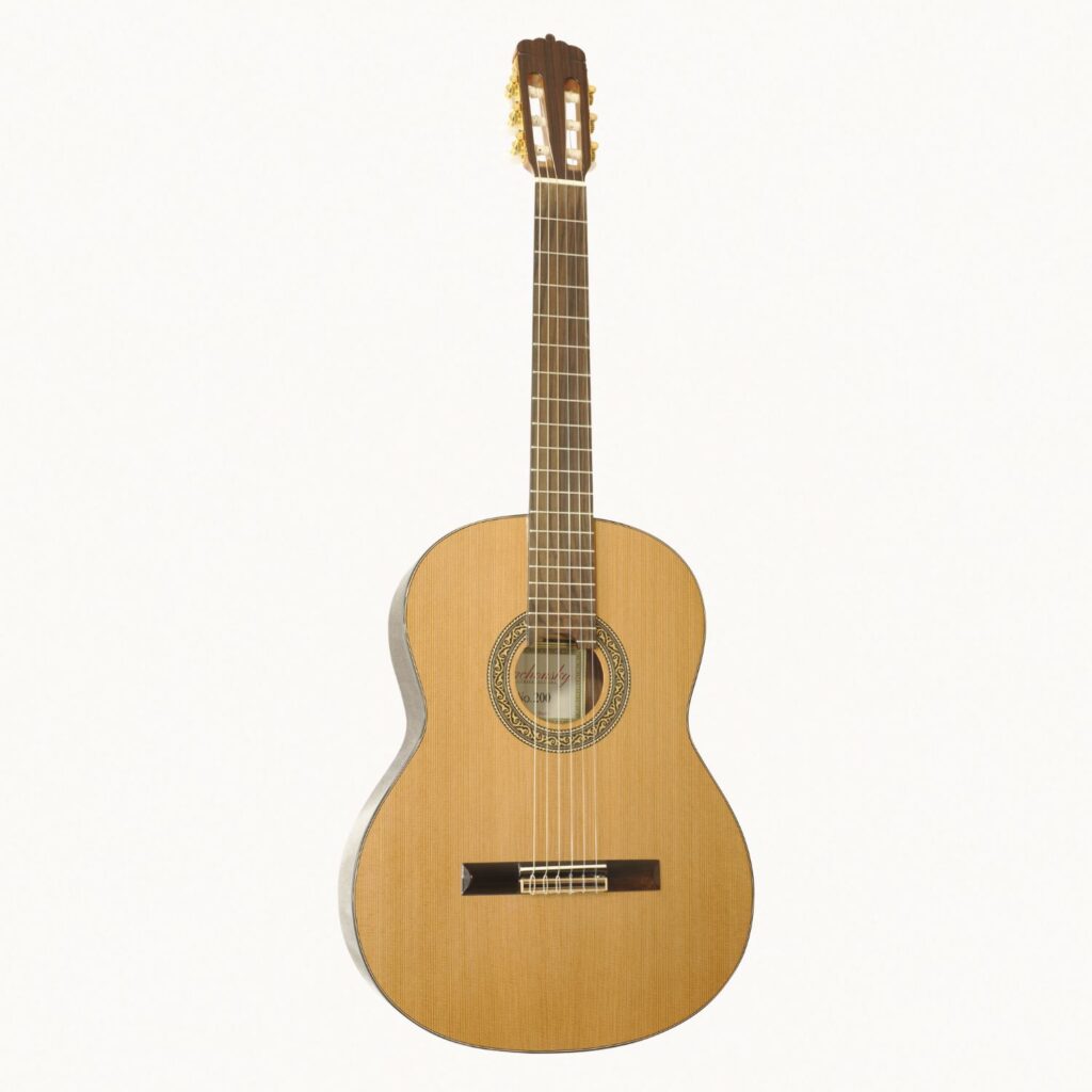Gitara Rachonsky 200