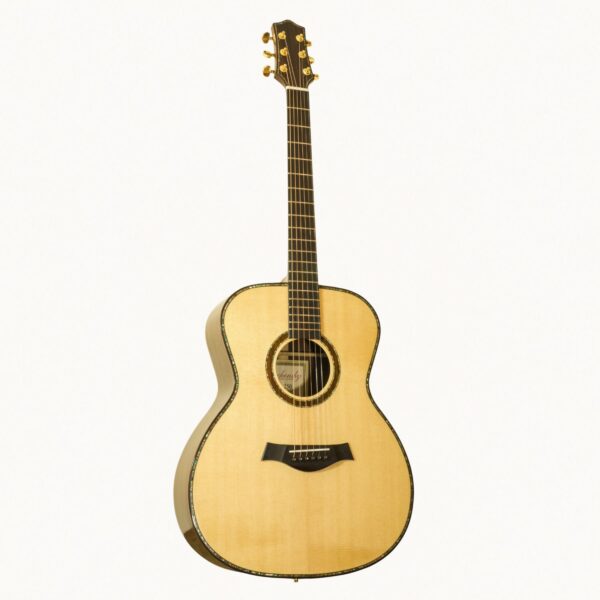 Zdjęcie gitary Rachonsky AC-250