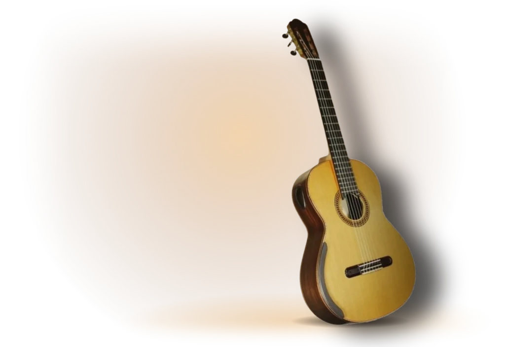 Gitara lutnicza profesjonalna Arrius S-1000 – zdjęcia i nagrania instrumentu przed zakupem